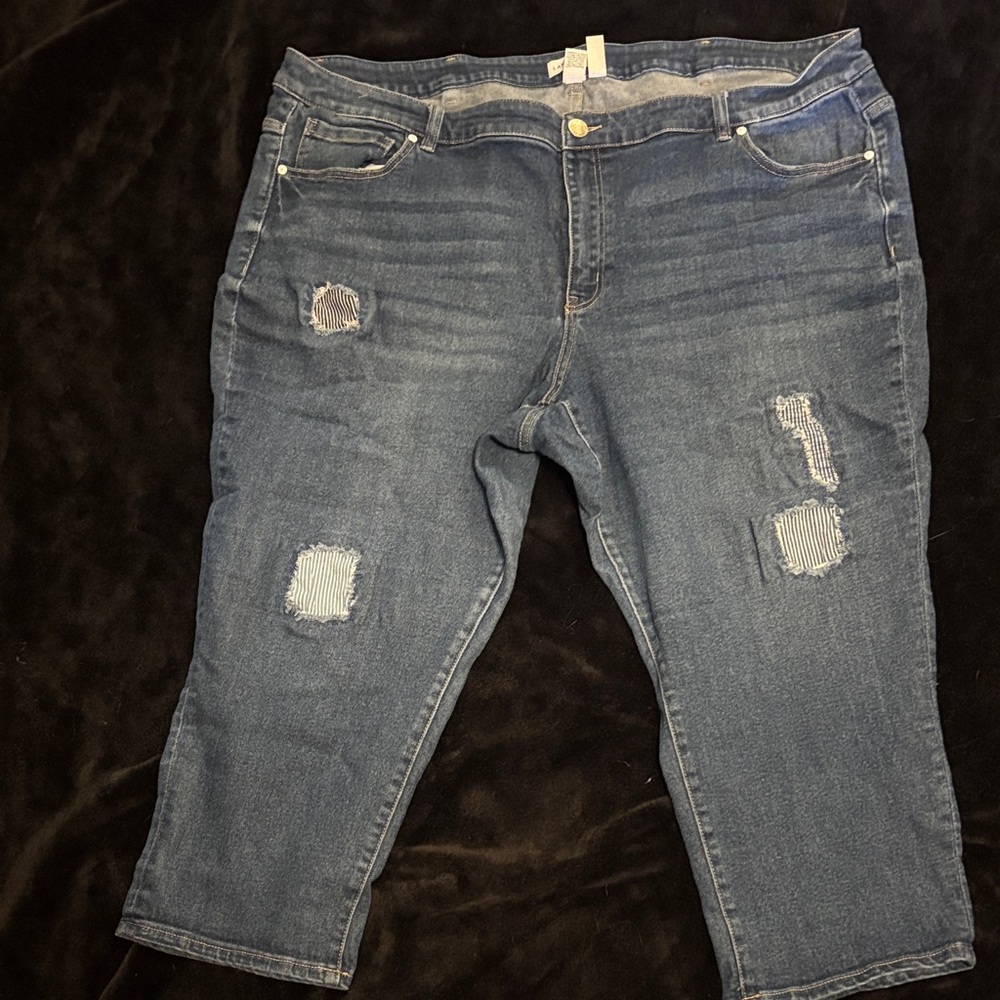 Lane Bryant  plus size 26 Capris